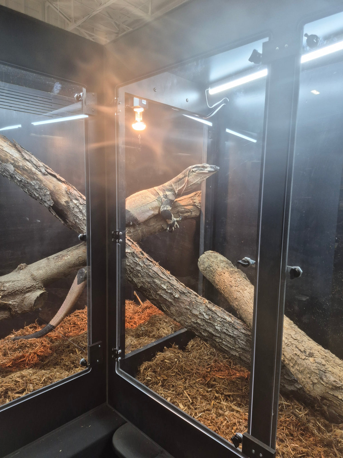 Custom Corner Reptile Enclosure — CRBE Show Special