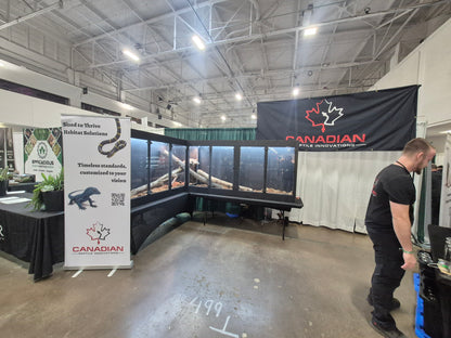 Custom Corner Reptile Enclosure — CRBE Show Special
